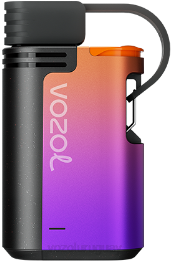 VOZOL GEAR 4000c/6000 0ZLD325 - VOZOL Vape Buy hielo de uva