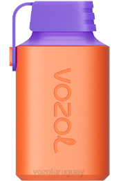 VOZOL GEAR 600 0ZLD348 - VOZOL Review hielo de uva y arándano