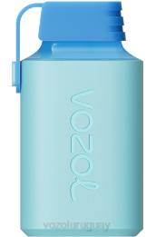 VOZOL GEAR 600 0ZLD356 - VOZOL Vape Flavors caramelo arcoiris