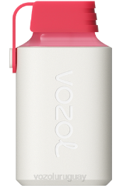VOZOL GEAR 600 0ZLD358 - VOZOL Review fresa frambuesa cereza