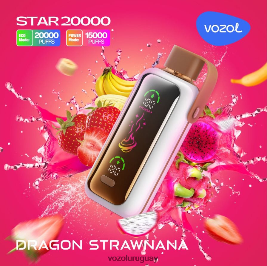 Vozol Vape Flavors dragón pajanana 2PNZP48 VOZOL STAR 20000