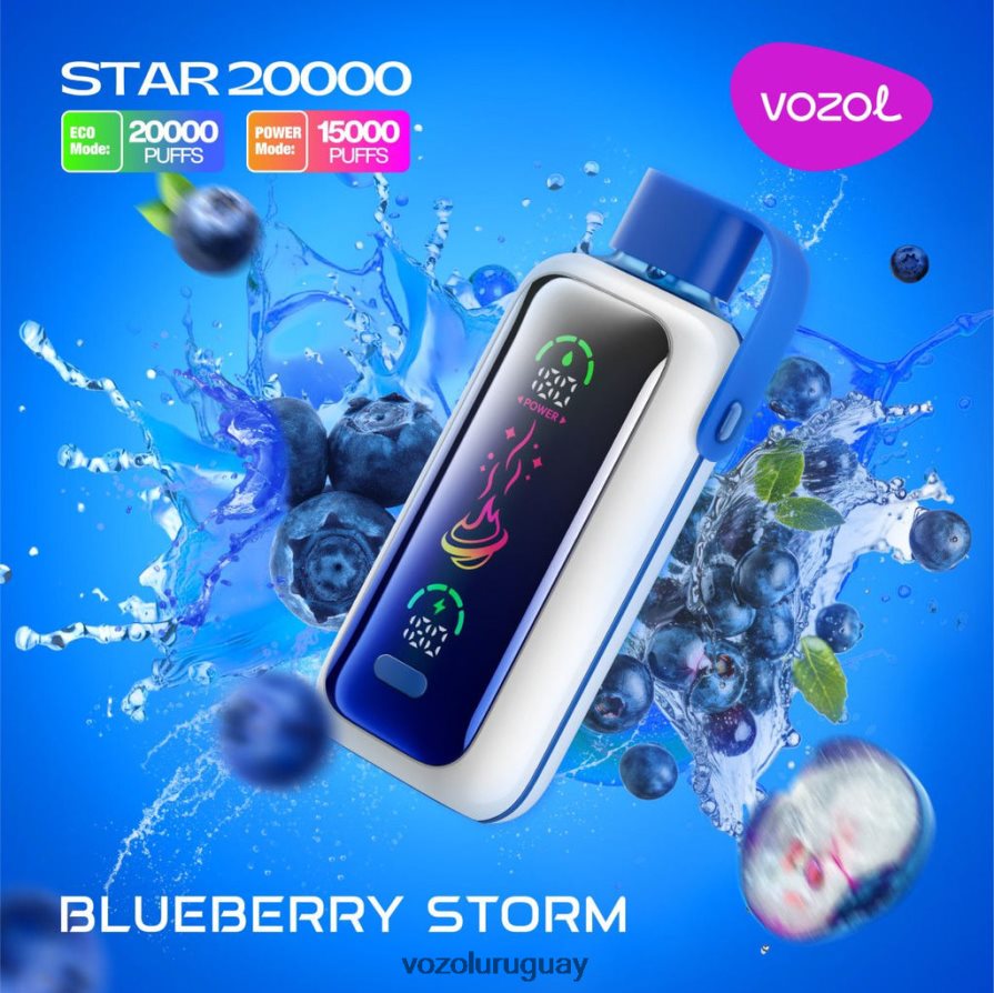 Vozol Vape Sabores tormenta de arándanos 2PNZP45 VOZOL STAR 20000