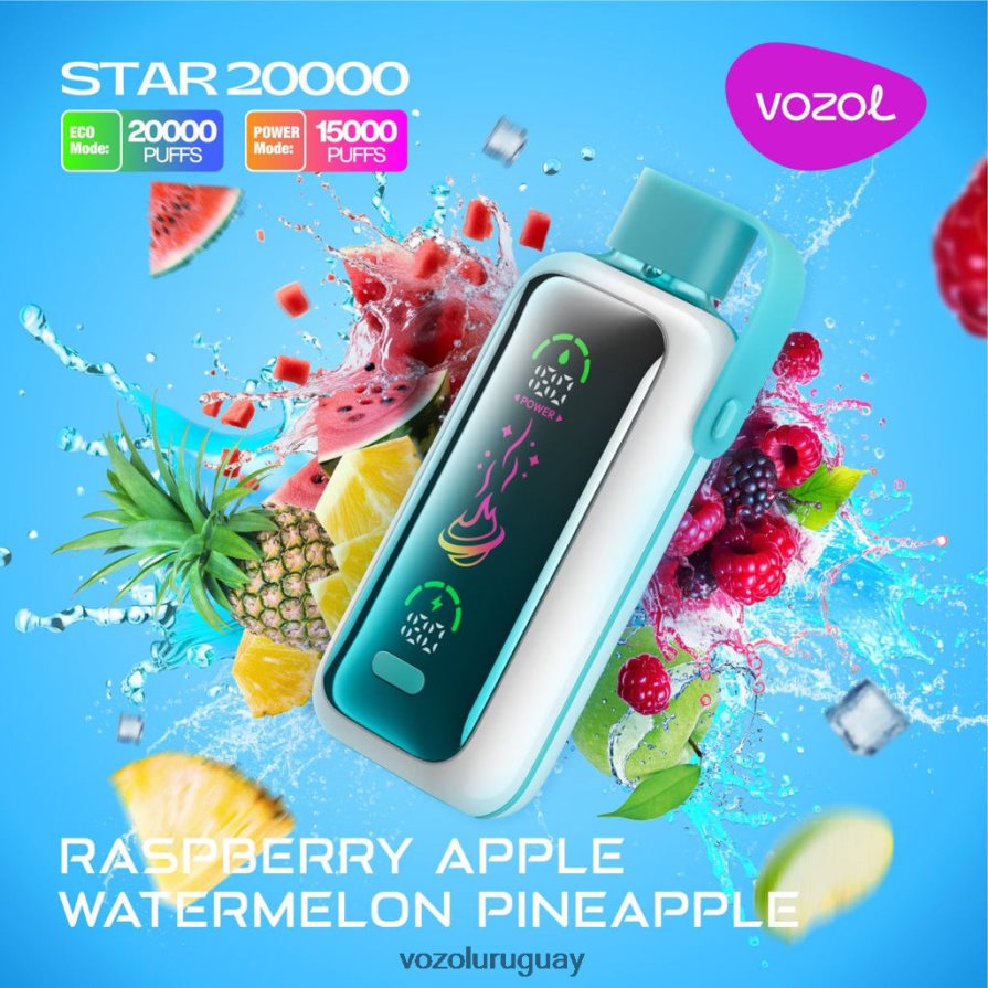 Vozol Vape Sale frambuesa manzana sandía piña 2PNZP418 VOZOL STAR 20000
