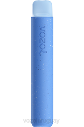 VOZOL STAR 600 0ZLD75 - VOZOL Vape Buy arándano frambuesa agria