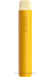 VOZOL STAR 600 0ZLD84 - VOZOL Vape Store maracuyá limón kiwi
