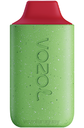 VOZOL STAR 6000 0ZLD113 - VOZOL Vape Sabores tormenta de bayas forestales