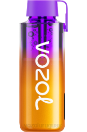 VOZOL NEON 10000 0ZLD235 - VOZOL Vape Buy bayas mixtas