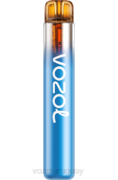 VOZOL NEON 800 0ZLD270 - VOZOL Vape Precio tormenta de bayas del bosque