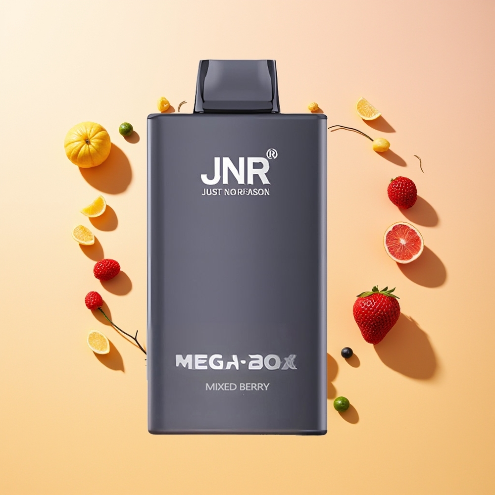 JNR Mega Box 25000 Baya Mixta Tipo-C Carga Rápida