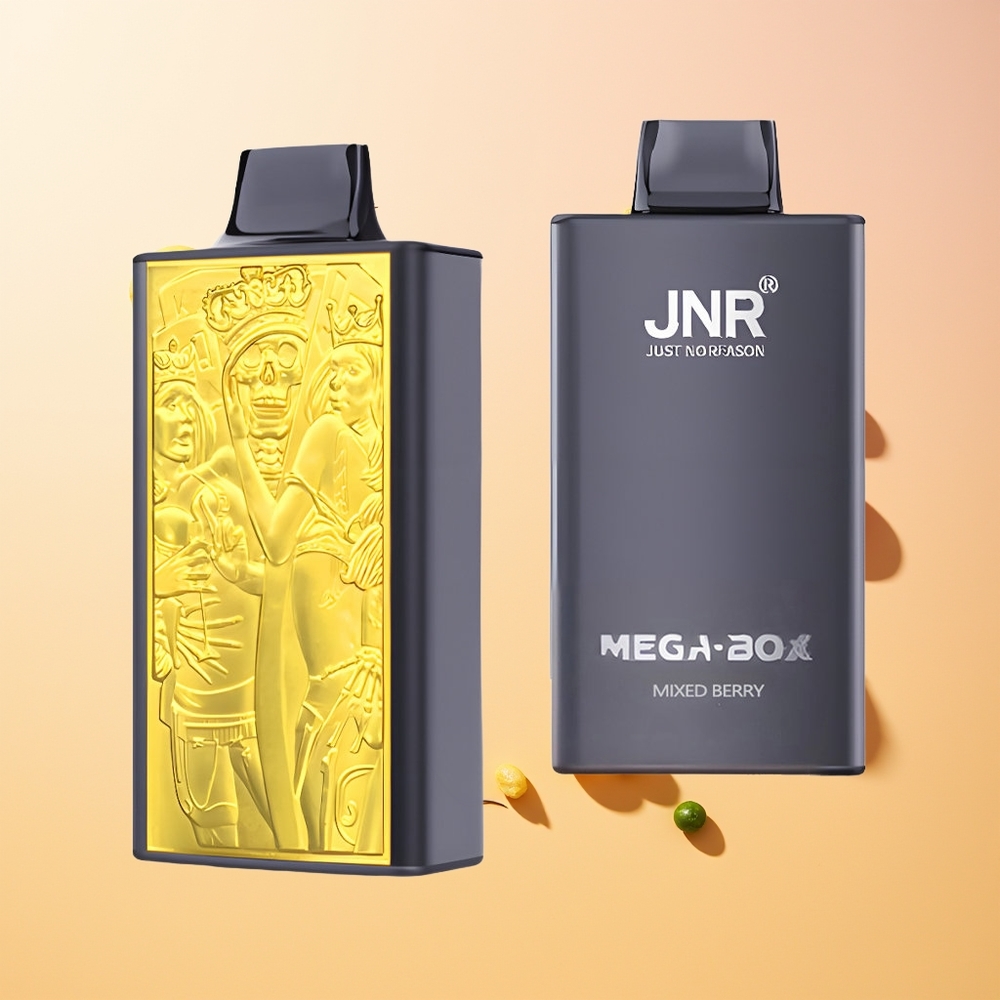 JNR Mega Box 25000 Baya Mixta Tipo-C Carga Rápida