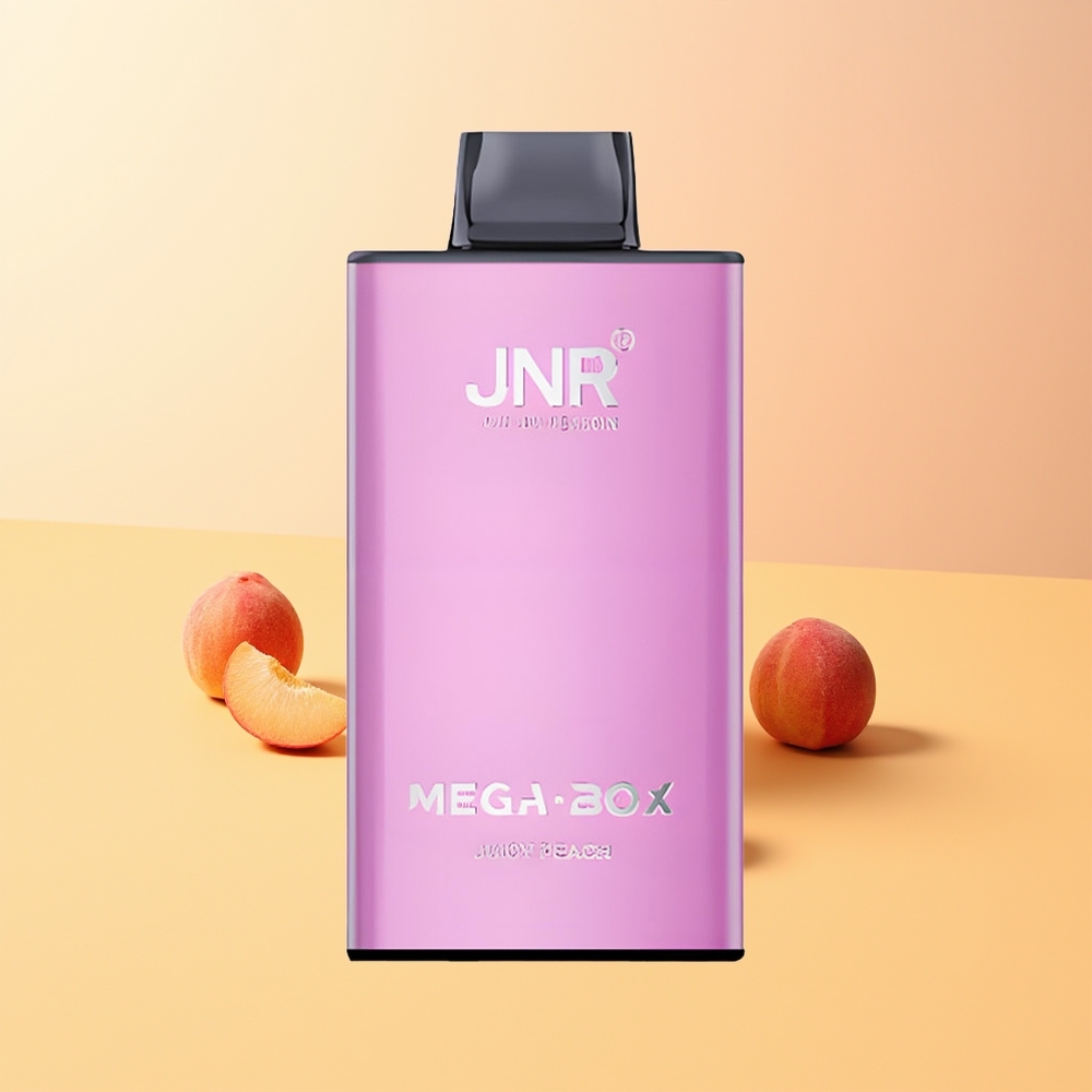 JNR Mega Box 25000 Melocotón Jugoso Tipo-C Carga Rápida