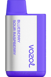 VOZOL TIGO 600 0ZLD365 - VOZOL Vape Buy arándano frambuesa agria