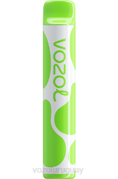 VOZOL JOYGO 600 0ZLD380 - VOZOL Vape Precio manzana doble