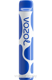 VOZOL JOYGO 600 0ZLD390 - VOZOL Vape Precio tormenta de arándanos